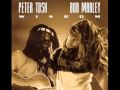 Peter Tosh - Maga Dog