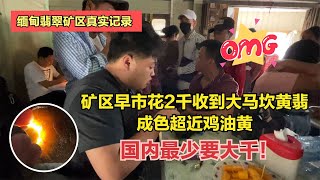 矿区早市2千收到大马坎黄翡，成色超近鸡油黄，国内最少要大千！