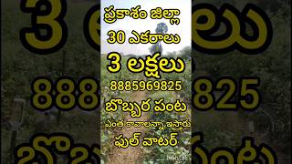 8885969825 ప్రకాశం జిల్లా 30 ఎకరాల పొలం ఎకరం మూడు లక్షలు మాత్రమే