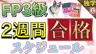 【FP3級】2週間で合格できるスケジュールを紹介｜参考書（テキスト）｜勉強法【2022年5月受験組】