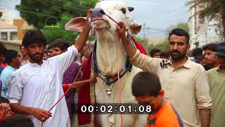 MELA WINNER SIBI BHAGNARI LAST WALK