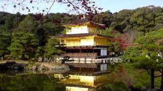 アジアの外国人が目立つ紅葉の季節の京都金閣寺