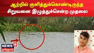 Kollidam ஆற்றில் குளித்துக்கொண்டிருந்த சிறுவனை இழுத்துச்சென்ற முதலை | Tamil News