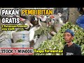 MAKIN BANYAK YANG TERNAK ENTOK GARA - GARA HAL INI,PAKAN GRATIS TETAP JADI DAGING