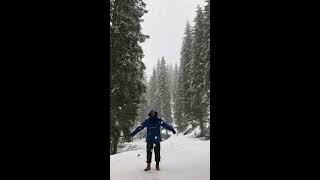 Nevicata in Trentino Dolomiti - bosco innevato passeggiata nella neve