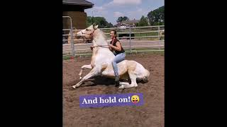 Train your horse to lay down on command and you can do this!