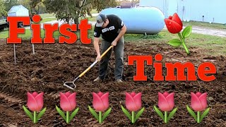 Planting Tulips🌷For the FIRST Time🌷