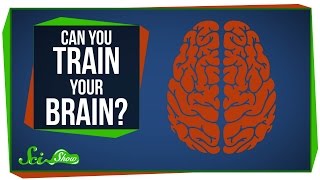 Can You Really Train Your Brain