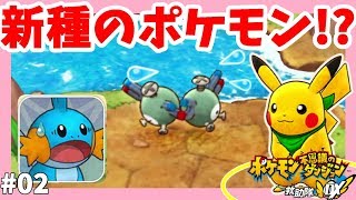 新種のポケモン！？コイルとコイルがくっついた！#2【ポケモン不思議のダンジョン救助隊DX】