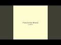 Pulse Ember Breeze