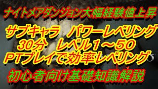 【ディアブロ4】『サブキャラ効率よくレベリング　パーティでパワーレベリング　ナイトメアダンジョン経験値増加』ディスコードメンバー募集中【DIABLO4】