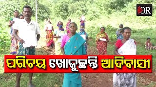 ପରିଚୟ ଖୋଜୁଛନ୍ତି ଆଦିବାସୀ | Tribal| Land Rights of Tribal People | Odisha Reporter