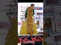 Thammudu cut out| Power Star Pawan Kalyan 💞| #shorts