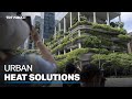 Singapore trying new ways to keep cool