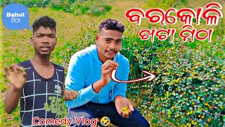 ଆମେ ଆଜି ବରକୋଳି ଖାଇବାକୁ ଯାଇଥିଲୁ || Ame Aji Bara Kuli Khaiba Ku Jaithilu 😋🤤 || Odia New Video 2025