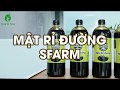 MẬT RỈ ĐƯỜNG (RỈ MẬT) SFARM - ĐẶNG GIA TRANG