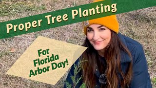 Proper Tree Planting for Florida Arbor Day! 🌿