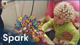 The Brain's Flexibility To Learn And Adapt In Childhood | The Brain Fitness Program | Spark