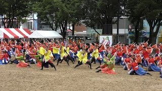 「京炎そでふれ！彩京前線」どまつり2016 8/28(日)ナディアパーク矢場公園会場