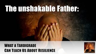 The unshakable Father: What a Tardigrade Can Teach Us About Resilience. #resilience