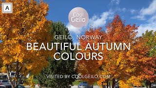 Beautiful Autumn Colours in Geilo, Norway | CoolGeilo.com /allthegoodies.com