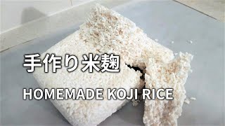 HOMEMADE KOJI RICE (Fermented Rice)