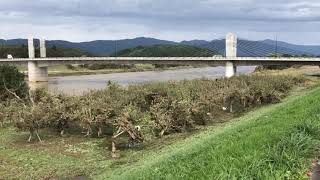 2019年 台風19号 長野県飯山市の千曲川、避難指示解除直後と翌10月14日の比較