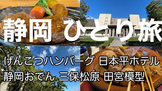 サラリーマンの休日 【静岡 ひとり旅】静岡おでん げんこつハンバーグ 日本平ホテル 三保松原 田宮模型 さわやか 日本平夢テラス 隈研吾