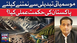 What Is Pakistan's Strategy To Combat Climate Change? | Dawn News