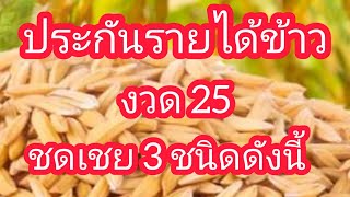 ประกันรายได้เกษตรกรผู้ปลูกข้าวปี 3 งวดที่ 25 ชดเชยข้าว 3 ชนิด