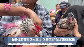 秘鲁宠物弥撒热闹登场  饲主携宠物赴约接受祝福【2024.10.07 八度空间午间新闻】