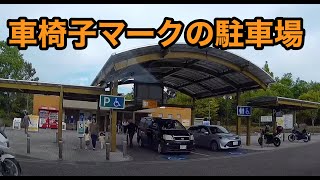 【車載】パーキングエリアで車椅子マークの駐車場に車を止める健常者（頭以外は）。