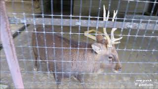 高岡古城公園動物園ミニタワー