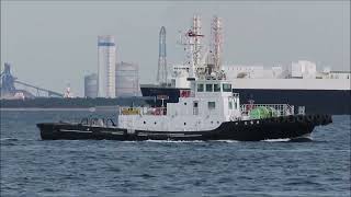 AOBA MARU　青葉丸　タグボート(Tug)