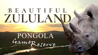 BEAUTIFUL ZULULAND - Amazing shots of the Pongola Game Reserve in South Africa