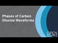 Phases of Carbon Dioxide Waveforms by C. Smallwood | OPENPediatrics