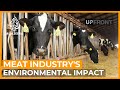 Can cutting meat consumption save the planet? | UpFront
