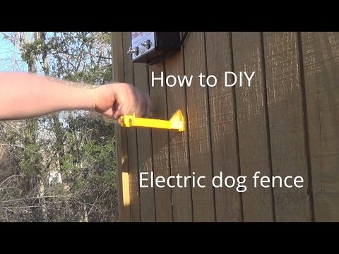 how to make Electric Dog fence cheap how to make Electric Dog fence cheap