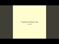Fragments Breeze Sky