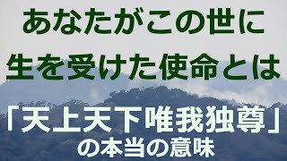 『天上天下唯我独尊』とはどんな意味か、分かりやすく解説する