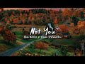 Alan Walker ft Emma Steinbakken - Not You ( Speed Up ) // Lyrics Video