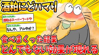 【意外】酒粕にハマって毎日食べ続けた結果がヤバいwww【2ch面白いスレ】