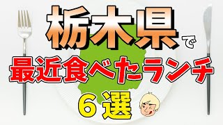 【海鮮丼/牛カツ/チキンカツカレー/唐揚げ/支那そば】栃木県で最近食べたうみゃ〜なランチ6選【下野市/日光市/小山市/大田原市/真岡市/栃木市】