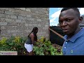 Life in the countryside. Gardening. How to plant cucumber and watermelon at home. Huge harvest food