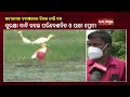 rare red heron spotted in kendrapara s gahiramatha sanctuary kalingatv