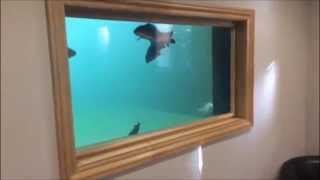 Bringing the Outside-Inside 2: Atlantica Gardens - Koi Pond Windows