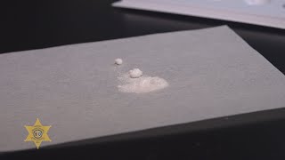 2024 FSU Week Drug Chemistry Lab