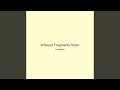 Whisper Fragments Silver