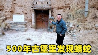 山西500年古堡里，发现巨型大蟒蛇，全家60口人一夜突然消失