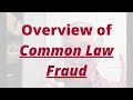 Overview of Common Law Fraud